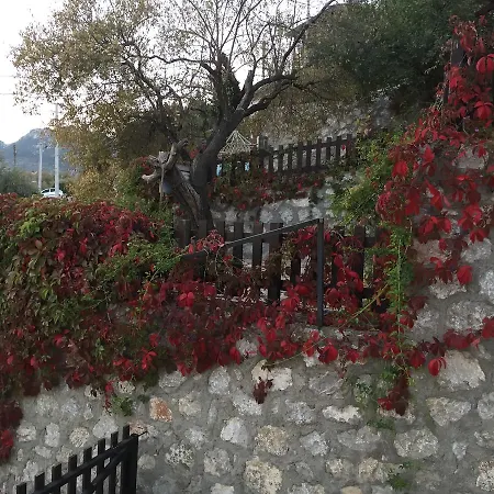 Selimiye Houses * السليمية