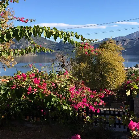 Selimiye Houses 塞利米耶