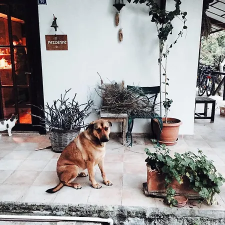 فيلة Selimiye Houses *