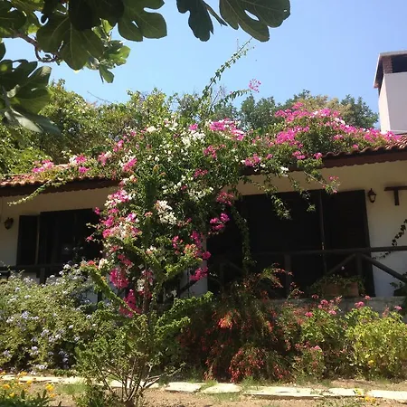 Selimiye Houses * Selimiye (Aegean)