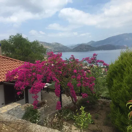 Selimiye Houses فيلة السليمية